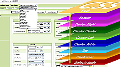 Skin-Schulung (CSS)